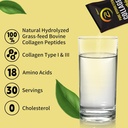 zammex-premium-collagen-peptides-powder--6.jpg