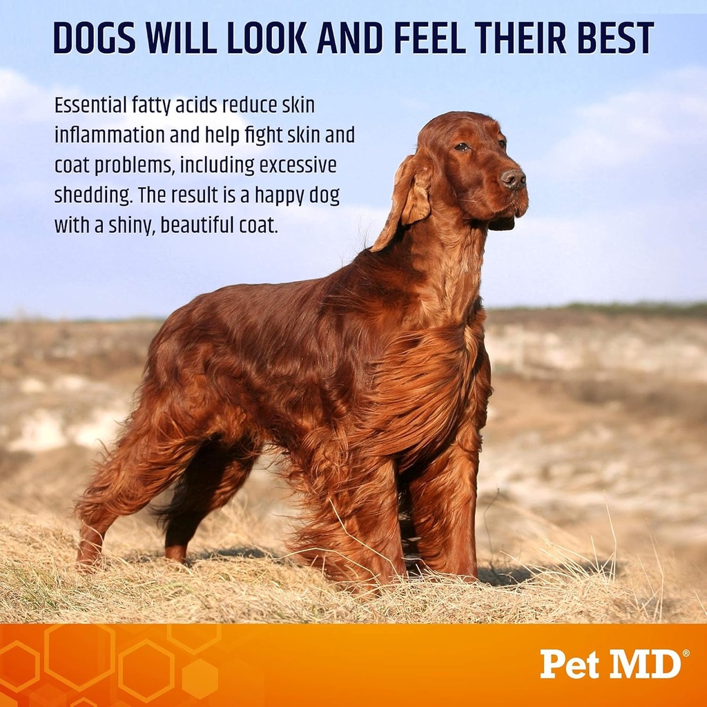 pet-md-ear-wipes-and-salmon-omega-bites-6.jpg
