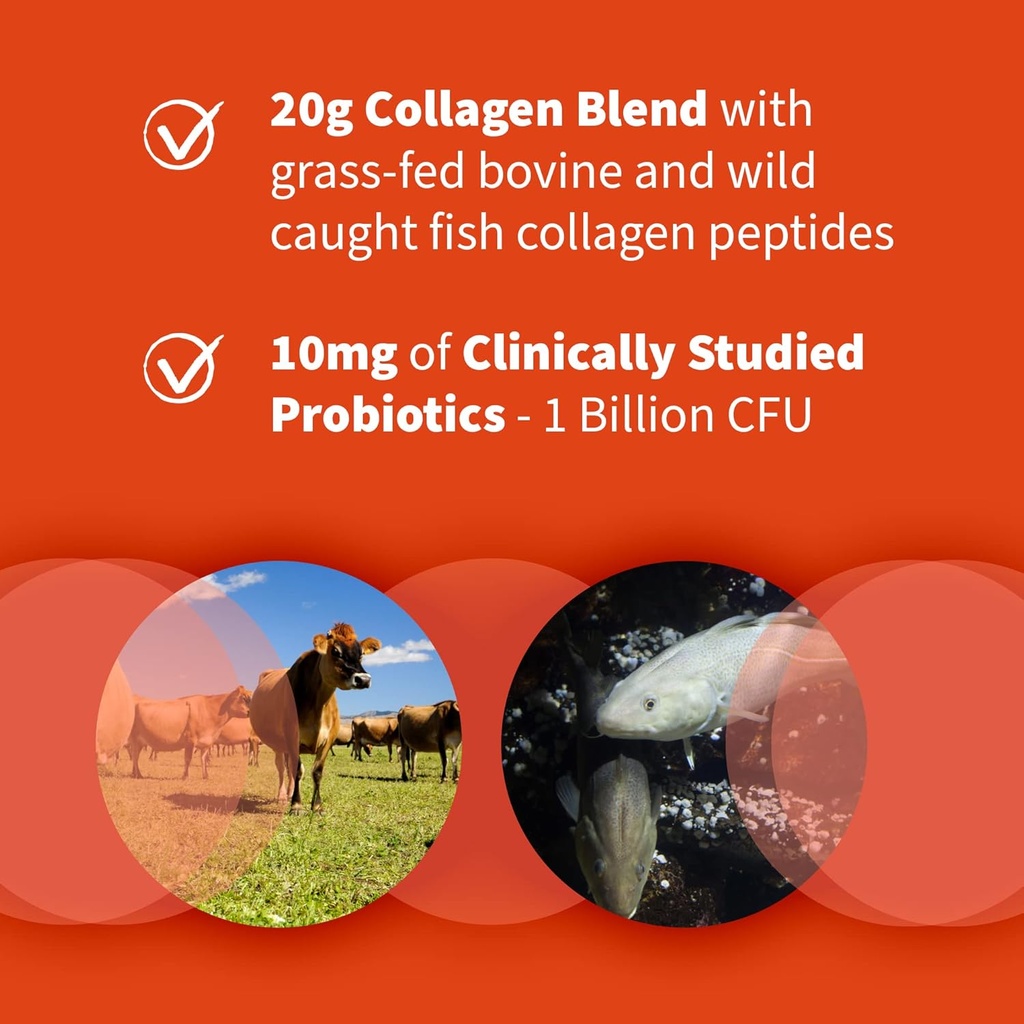 garden-of-life-collagen-bundle-grass-fed-4.jpg