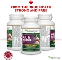 garlic-reishi-capsules---cardiovascular--6.jpg