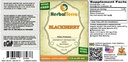 blackberry-rubus-fruticosus-tincture-org-2.jpg