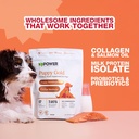 k9-power-puppy-gold-1-lb---supplement-fo-6.jpg