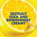 luna-bar---gluten-free-bars---lemon-zest-4.jpg