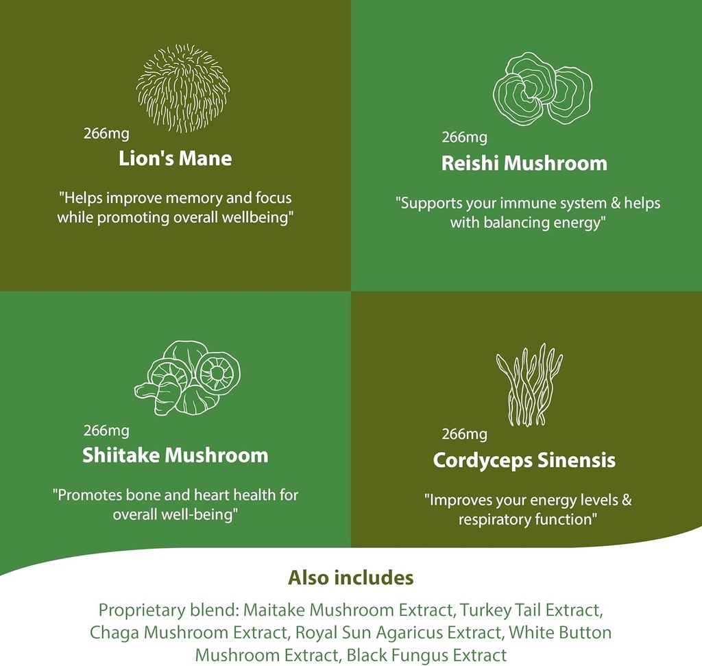 mushroom-supplement--10-mushrooms-blend--2.jpg