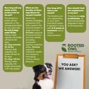 rooted-owl-natural-immunity---cat-and-do-6.jpg