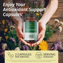 herbamama-broccoli-sprout-and-ashwagandh-2.jpg