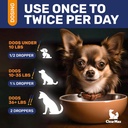dog-antibiotics-for-infections-allergies-4.jpg