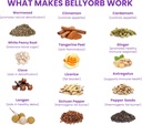 lure-essentials-belly-orb-bellyorb-stick-3.jpg