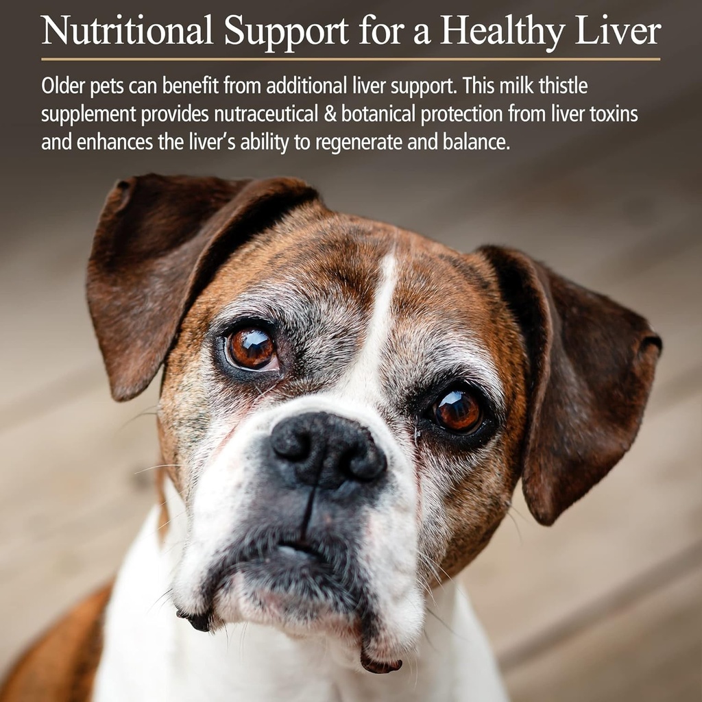 rx-vitamins-hepato-support-for-dogs-cats-2.jpg