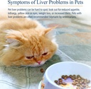 rx-vitamins-hepato-support-for-dogs-cats-3.jpg