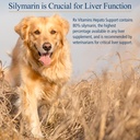 rx-vitamins-hepato-support-for-dogs-cats-4.jpg