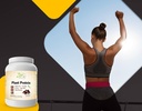 zen-supplements---plant-protein-chocolat-4.jpg