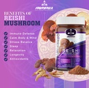 organic-reishi-mushroom-supplement---60--2.jpg