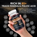 shilajit-gummies-2000mg---shilajit-pure--3.jpg