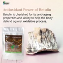 sayan-siberian-chaga-mushroom-extract-wi-5.jpg