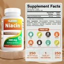 best-naturals-niacin-500mg-250-tablets-w-2.jpg