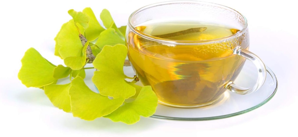 health-embassy-ginkgo-biloba-leaf-ginkgo-4.jpg