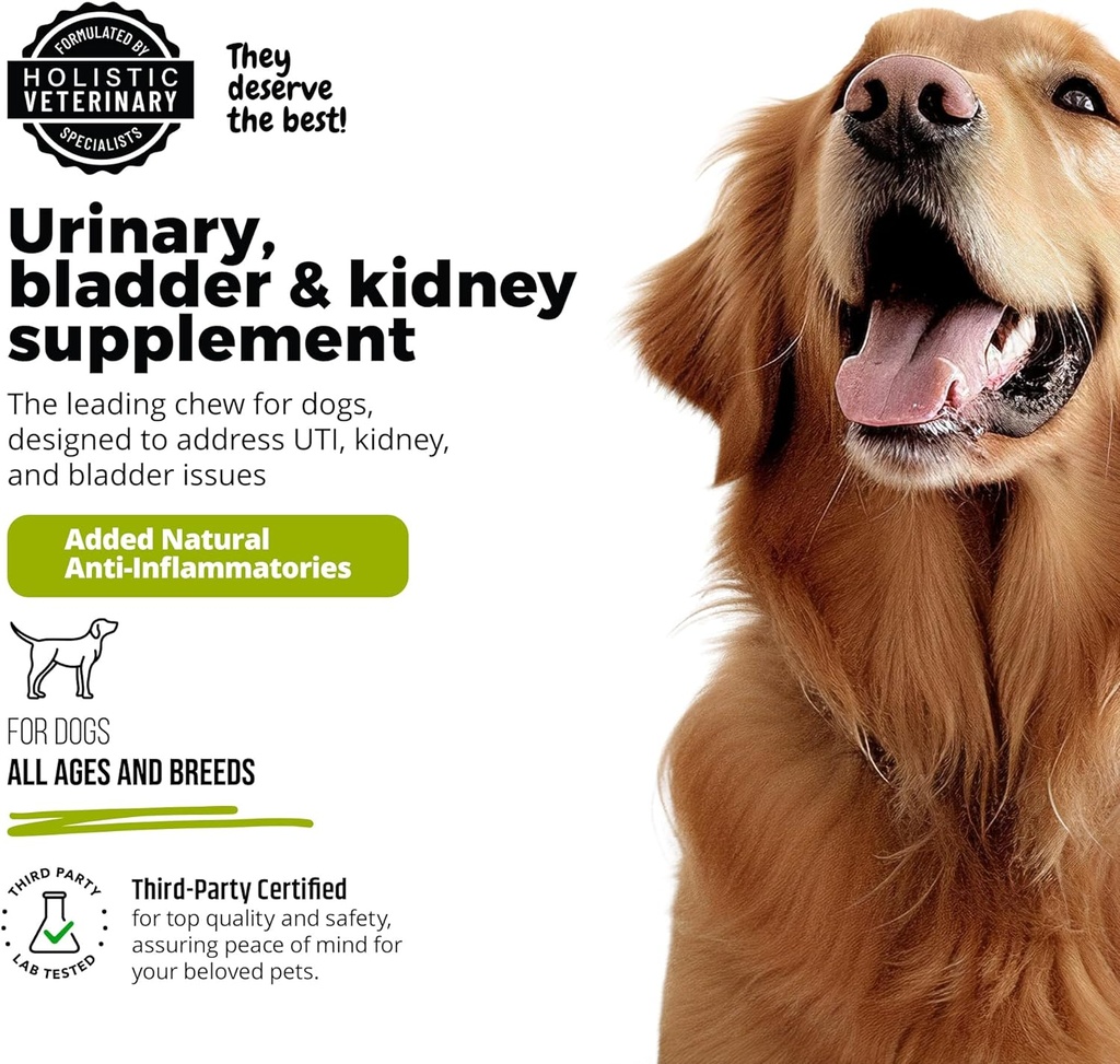 dog-urinary-tract-infection-treatment-bl-5.jpg