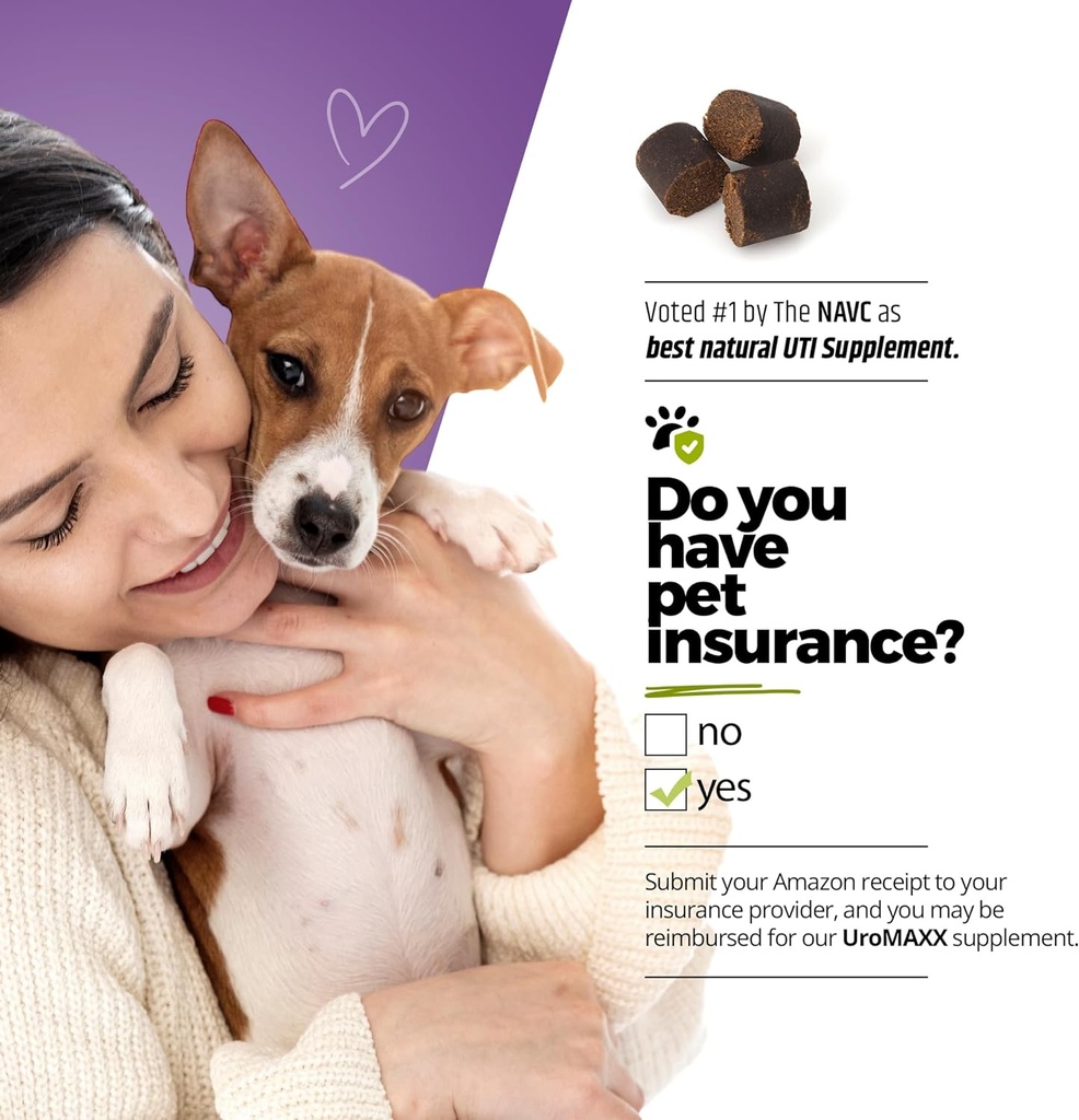 dog-urinary-tract-infection-treatment-bl-6.jpg