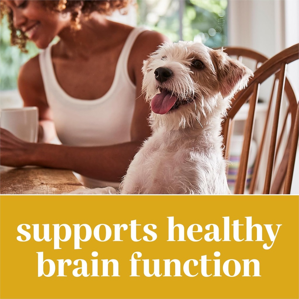 everroot-dog-supplements-powered-by-puri-4.jpg