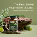 gaia-herbs-astragalus-supreme---immune-a-2.jpg