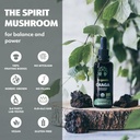 loov-organic-chaga-tincture-50-servings--2.jpg