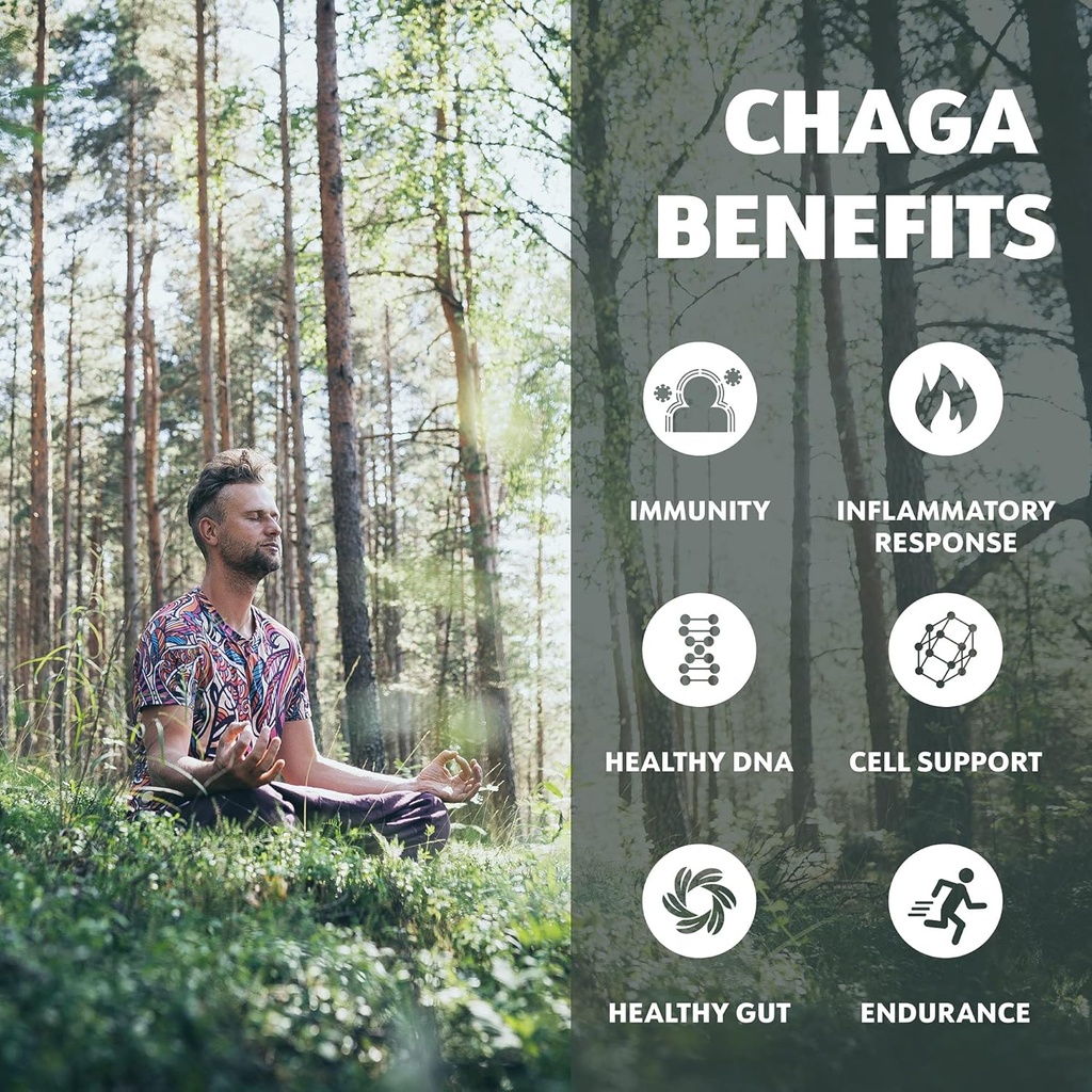 loov-organic-chaga-tincture-50-servings--3.jpg