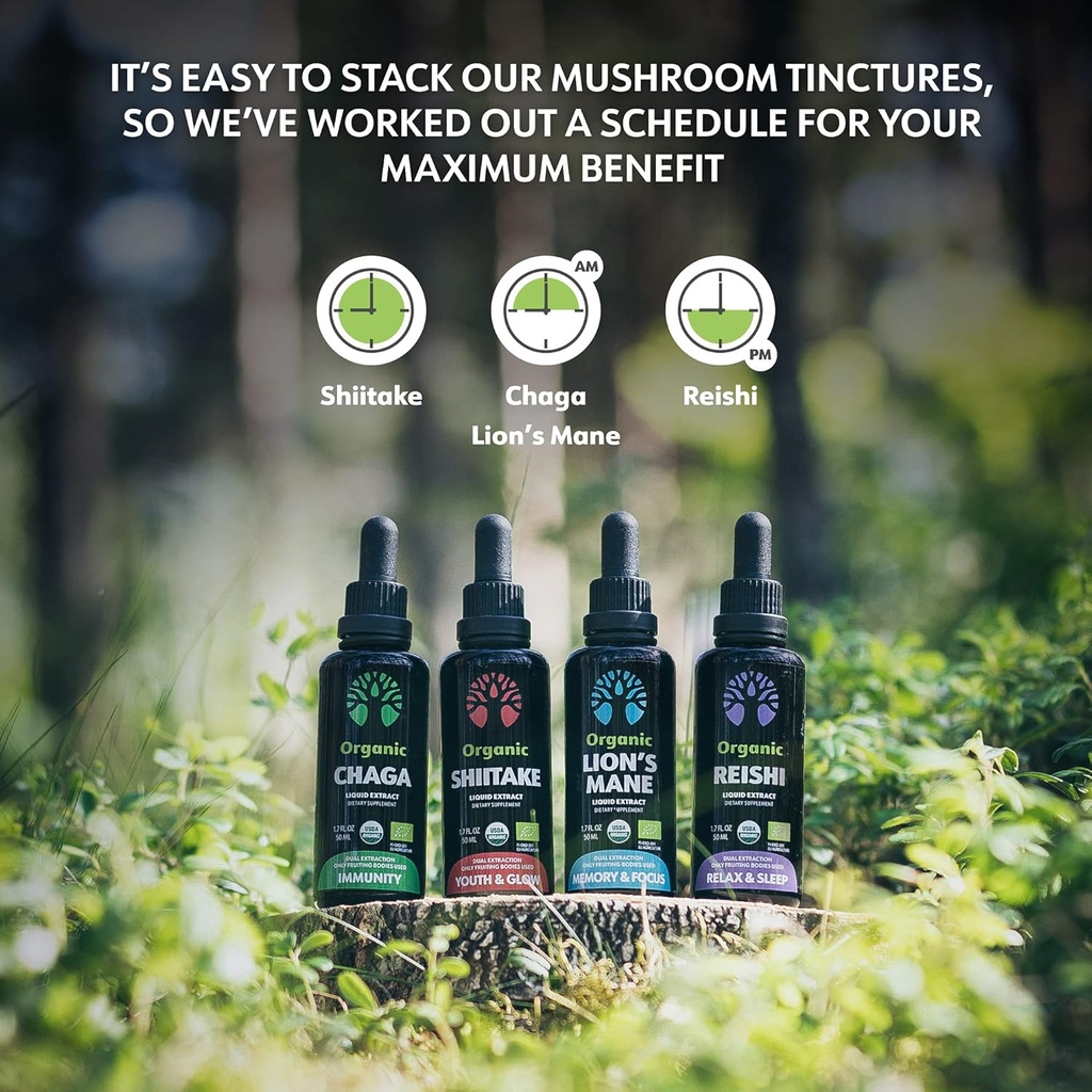 loov-organic-chaga-tincture-50-servings--5.jpg