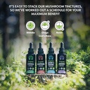 loov-organic-chaga-tincture-50-servings--5.jpg