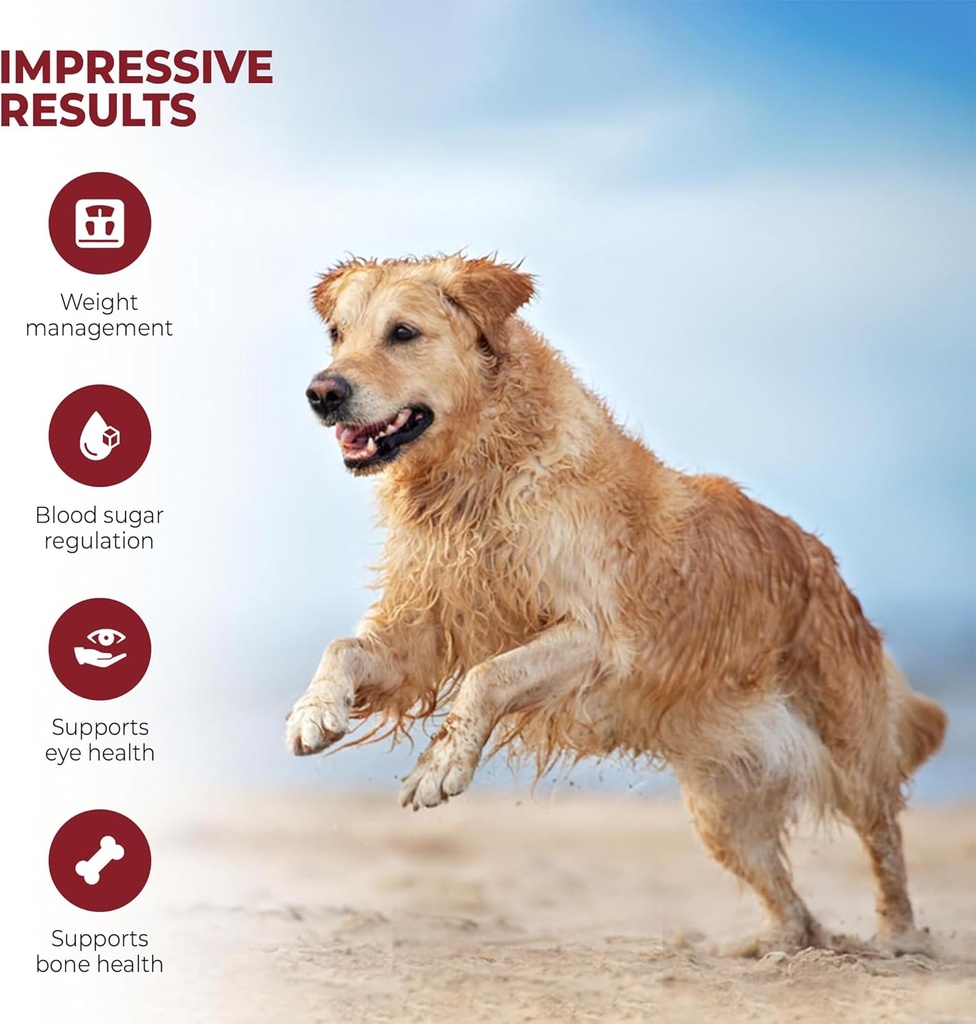 marine-phytoplankton-powder-for-dogs-ome-5.jpg