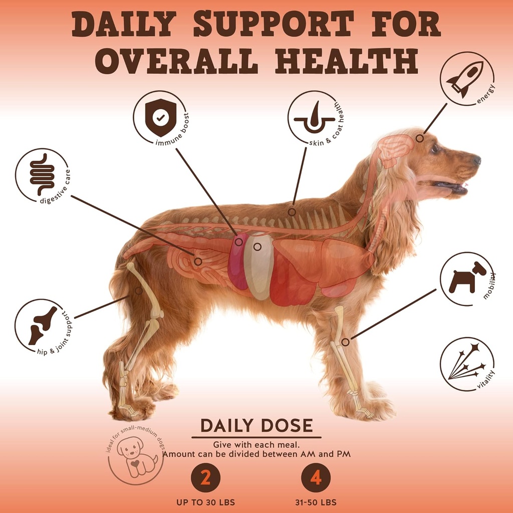 jackpup-dog-vitamins-and-supplements-mul-2.jpg
