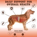 jackpup-dog-vitamins-and-supplements-mul-2.jpg