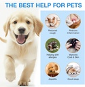 kennel-cough-treatment-drops-for-dogs-na-3.jpg