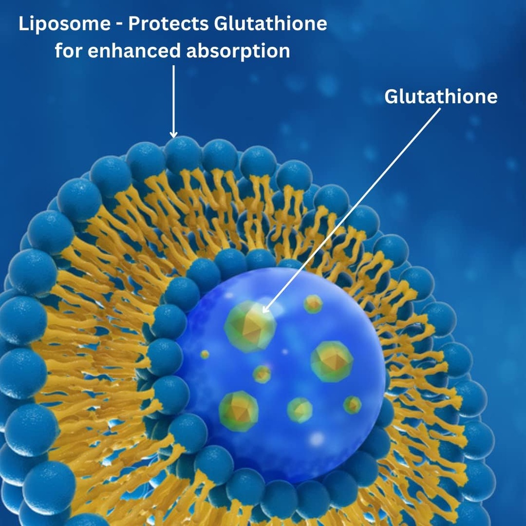 850mg-liposomal-glutathione-supplement-6-3.jpg