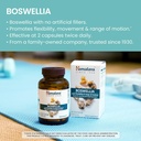himalaya-boswellia-joint-support-for-mob-3.jpg