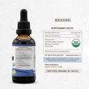 secrets-of-the-tribe-brahmi-usda-organic-4.jpg