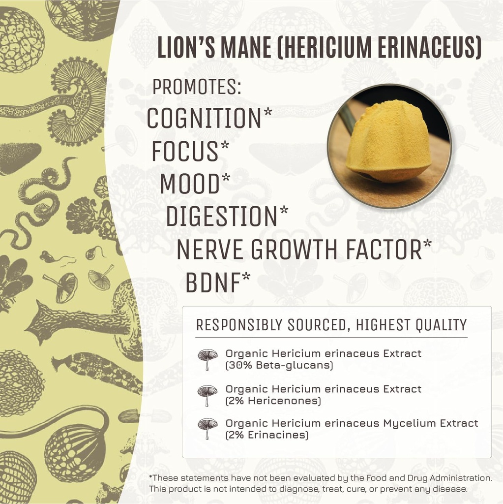 hamiltons-lucid-lions-mane-organic-mushr-3.jpg