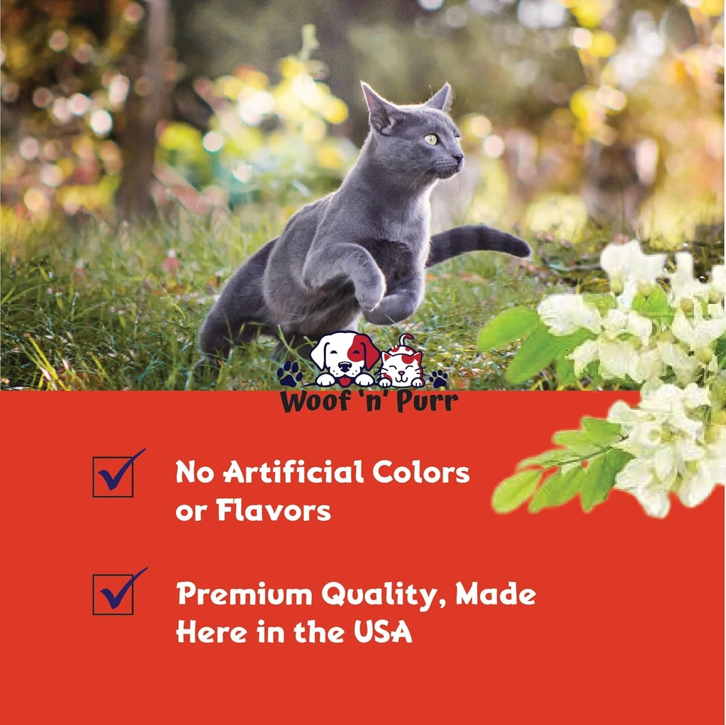 natural-cat-antibiotic---antibiotics-for-4.jpg