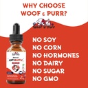 natural-cat-antibiotic---antibiotics-for-6.jpg
