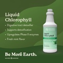 natures-sunshine-liquid-chlorophyll---im-2.jpg