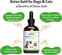 pet-wellbeing-detox-gold-for-dogs-cats---3.jpg