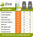 jiva-botanicals-chanca-piedra-supplement-5.jpg