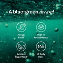 organika-certified-organic-spirulina-pow-3.jpg