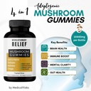 adaptogenic-4-1-mushroom-extract-gummies-2.jpg