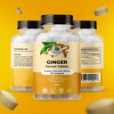 amazing-botanicals-ginger-root-extract-t-3.jpg