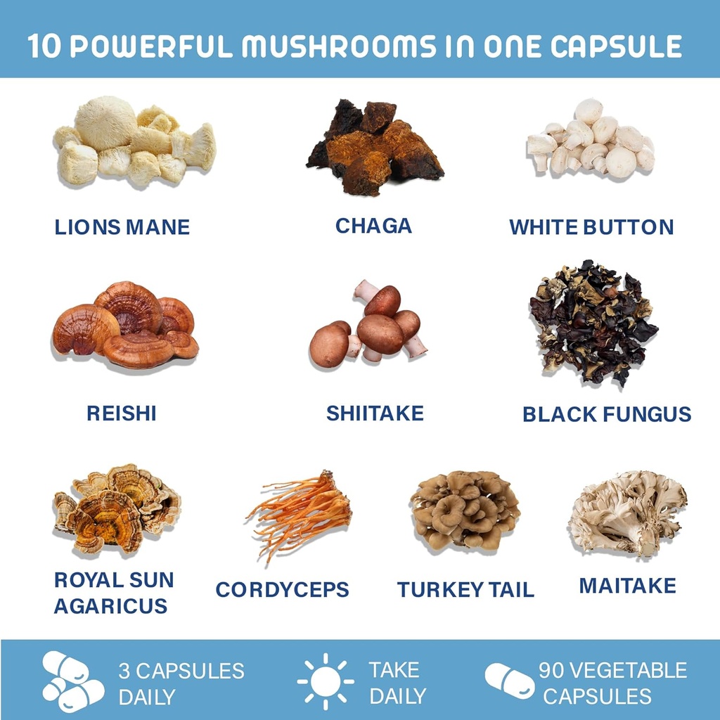 daily-10-mushroom-complex-lions-mane-rei-4.jpg
