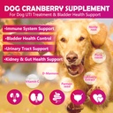 cranberry-bladder-health-for-dogs---dog--6.jpg
