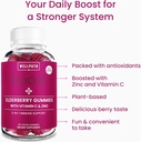 wellpath-elderberry-gummies-with-zinc-re-4.jpg