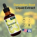 dandelion-root-4-fl-oz-liquid-extract----6.jpg