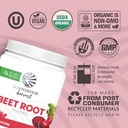 Sunwarrior Beet Root Powder Nitric Oxide Increase Stamina Blood and Flow Circulation Natural Non-GMO Keto Vegan Superfood for Smoothies Acai Pudding Baking 360g sq tub (90 Servings) Organic Harvest 4